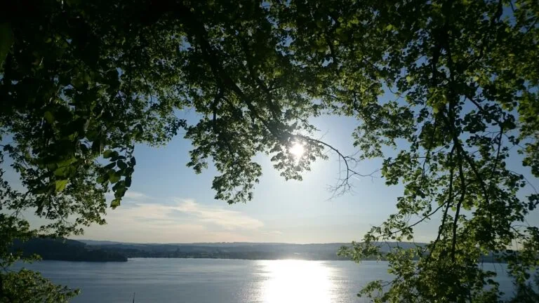 Silvia Weise Oberwil bei Zug - Cosmogetische Beraterin Heilerin